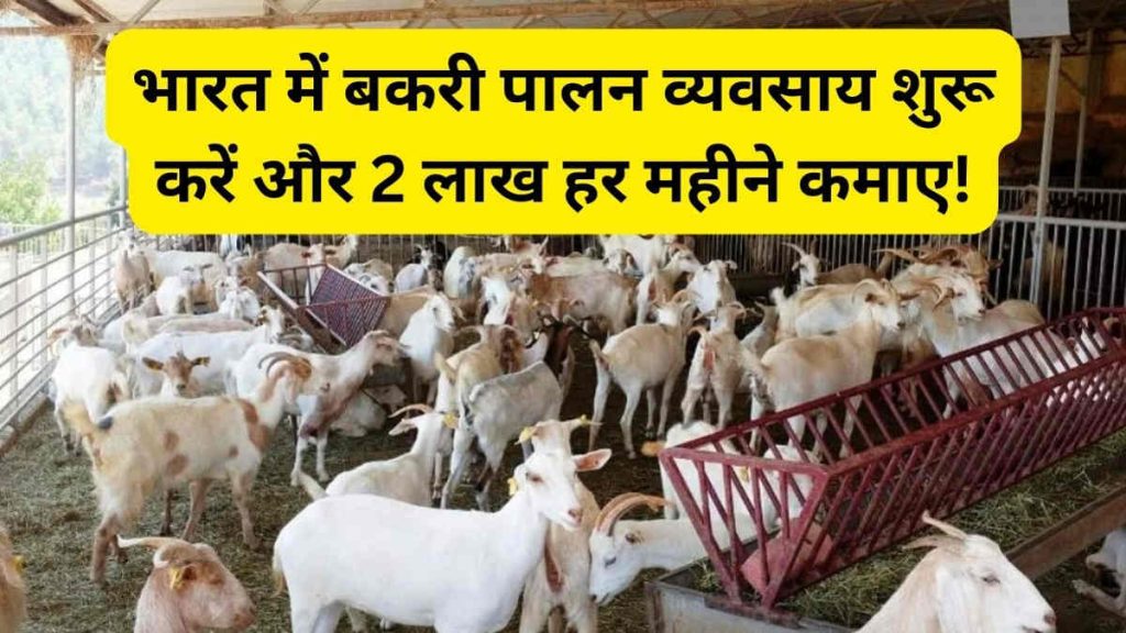 Goat Farming Business 2024